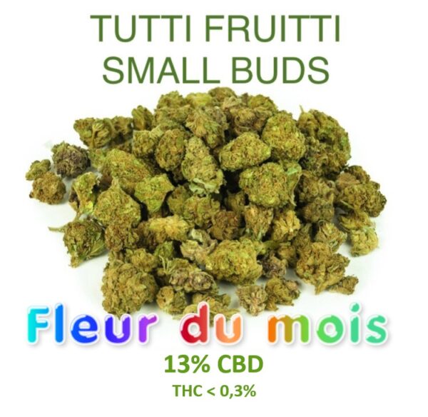 TUTTI FRUITTI SMALL BUDS