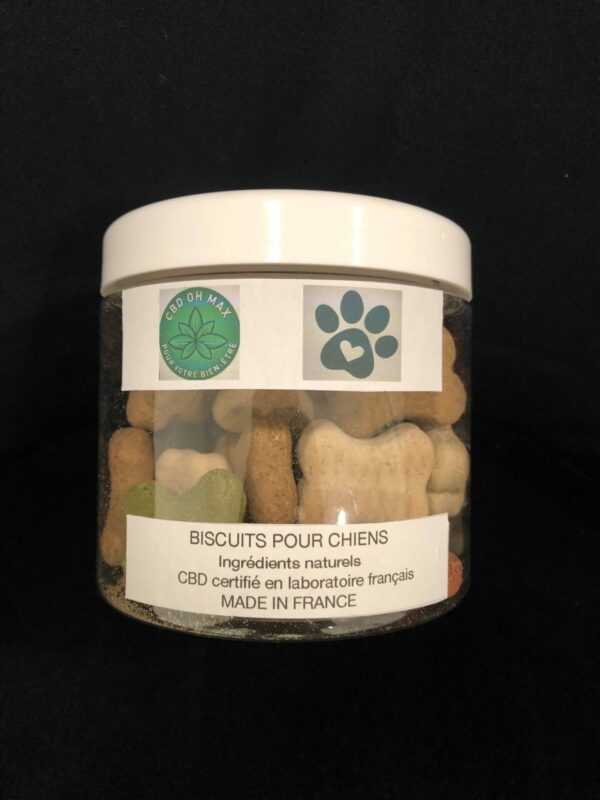 Friandises pour Chien