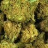 TUTTI FRUITTI SMALL BUDS
