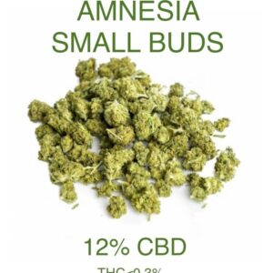 Amnesia Small Buds