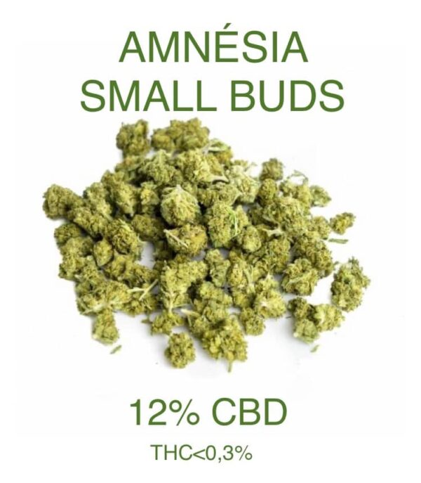 Amnesia Small Buds