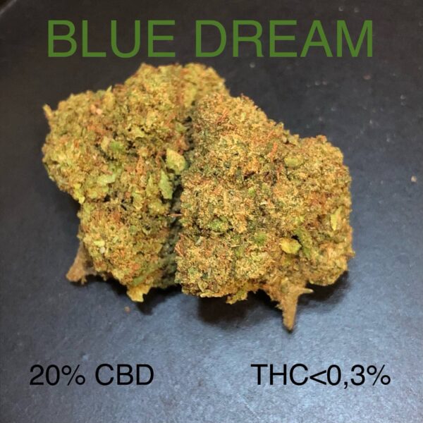 Blue Dream Hydro Fleur Intérieure