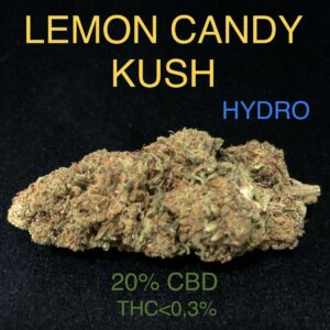 lemon candy kush hydro