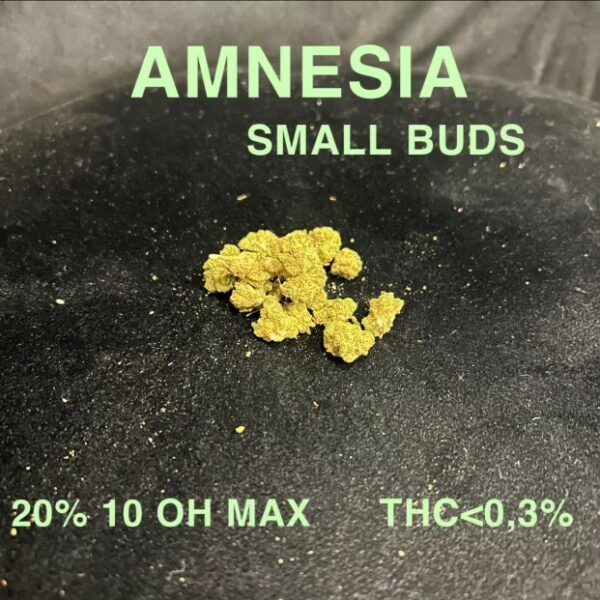 AMNESIA SMALL BUDS 10 OH MAX