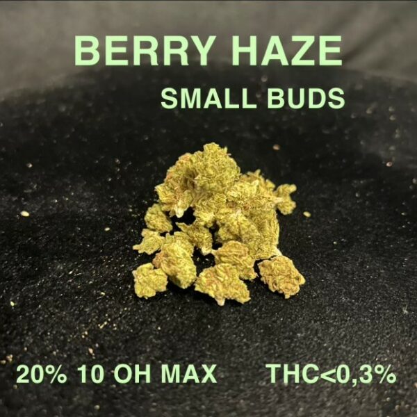 BERRY HAZE SMALL BUDS 10 OH MAX