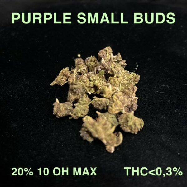 PURPLE SMALL BUDS 10 OH MAX