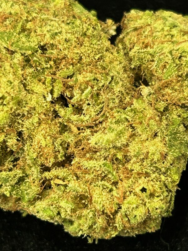 CALI NORTHERN LIGHT 20% 10 OH MAX – Image 2